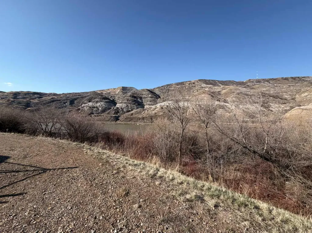 424 River Drive Drumheller AB T0J0Y0