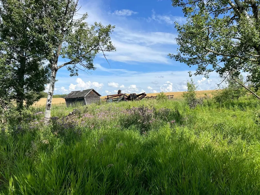 49221 Secondary Highway 623 Rural Camrose County AB T0B 0J0