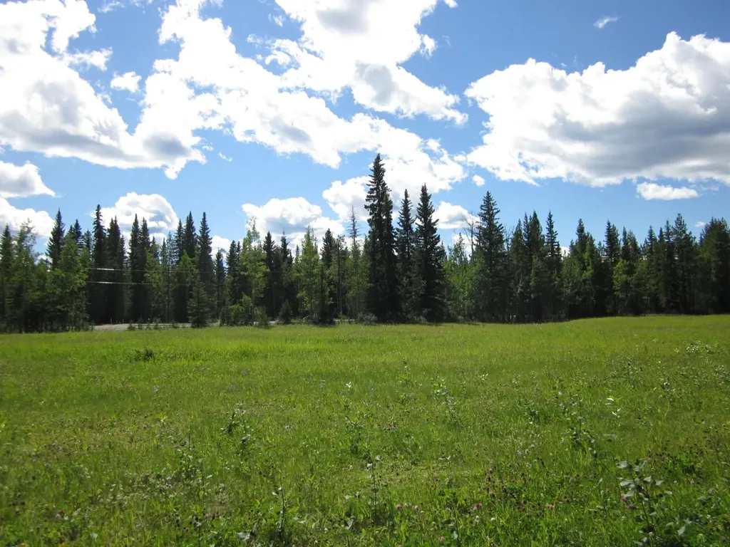 48 Boundary Close Rural Clearwater County AB T0M 0M0