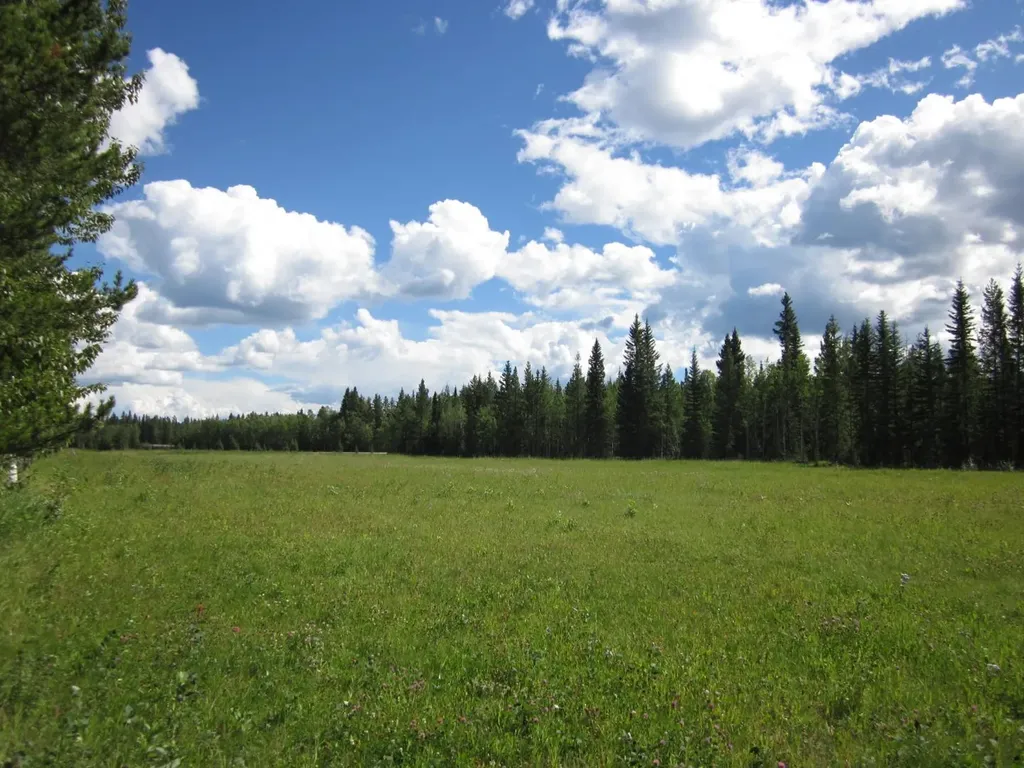 48 Boundary Close Rural Clearwater County AB T0M 0M0