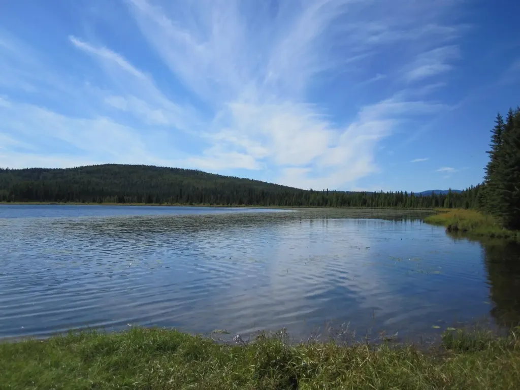 48 Boundary Close Rural Clearwater County AB T0M 0M0