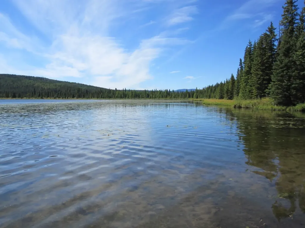48 Boundary Close Rural Clearwater County AB T0M 0M0