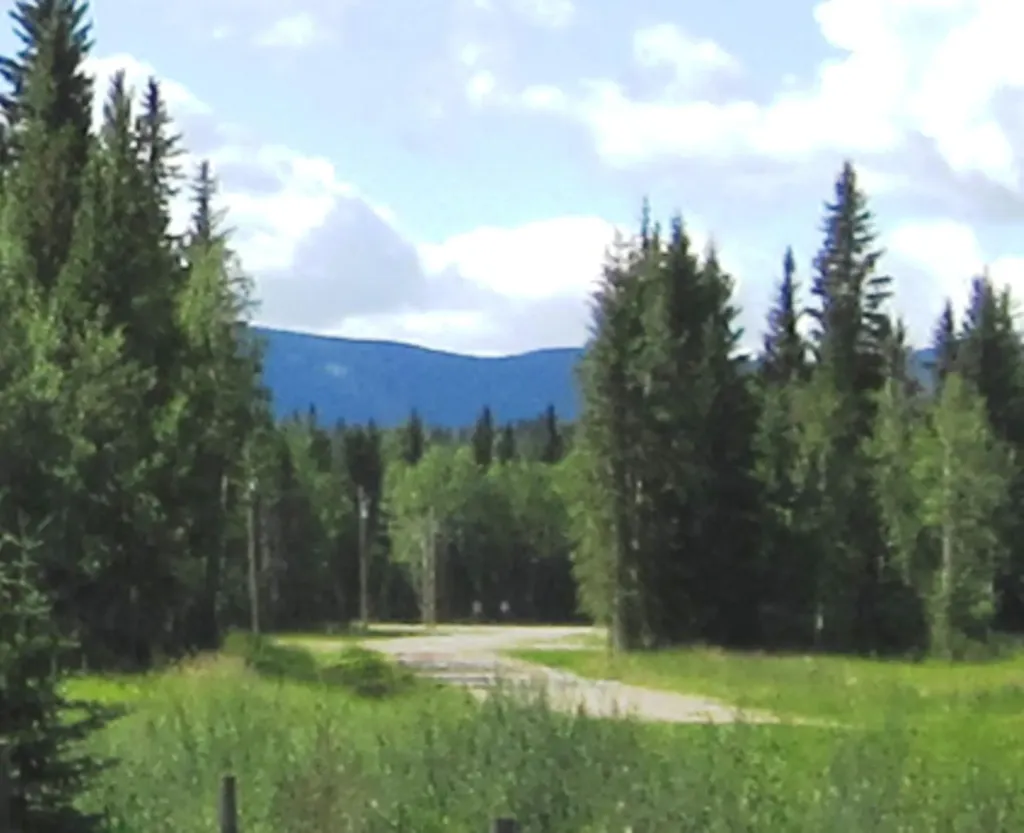 48 Boundary Close Rural Clearwater County AB T0M 0M0