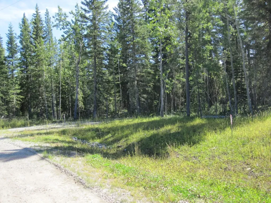 48 Boundary Close Rural Clearwater County AB T0M 0M0