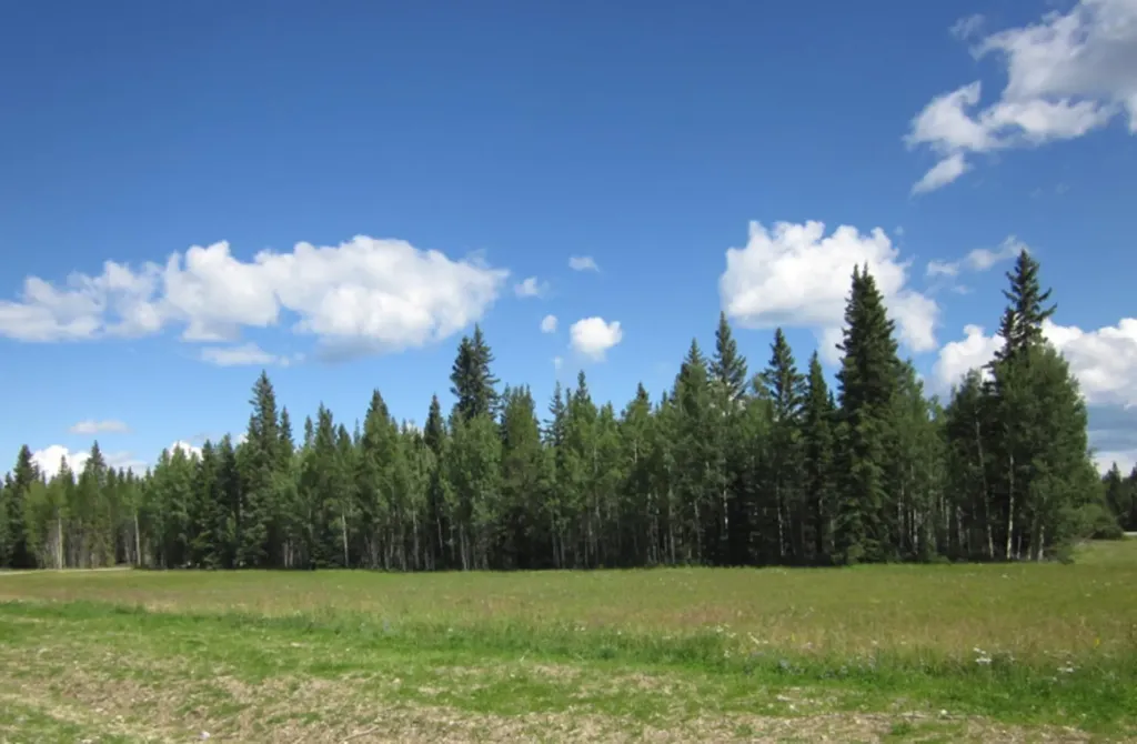 48 Boundary Close Rural Clearwater County AB T0M 0M0