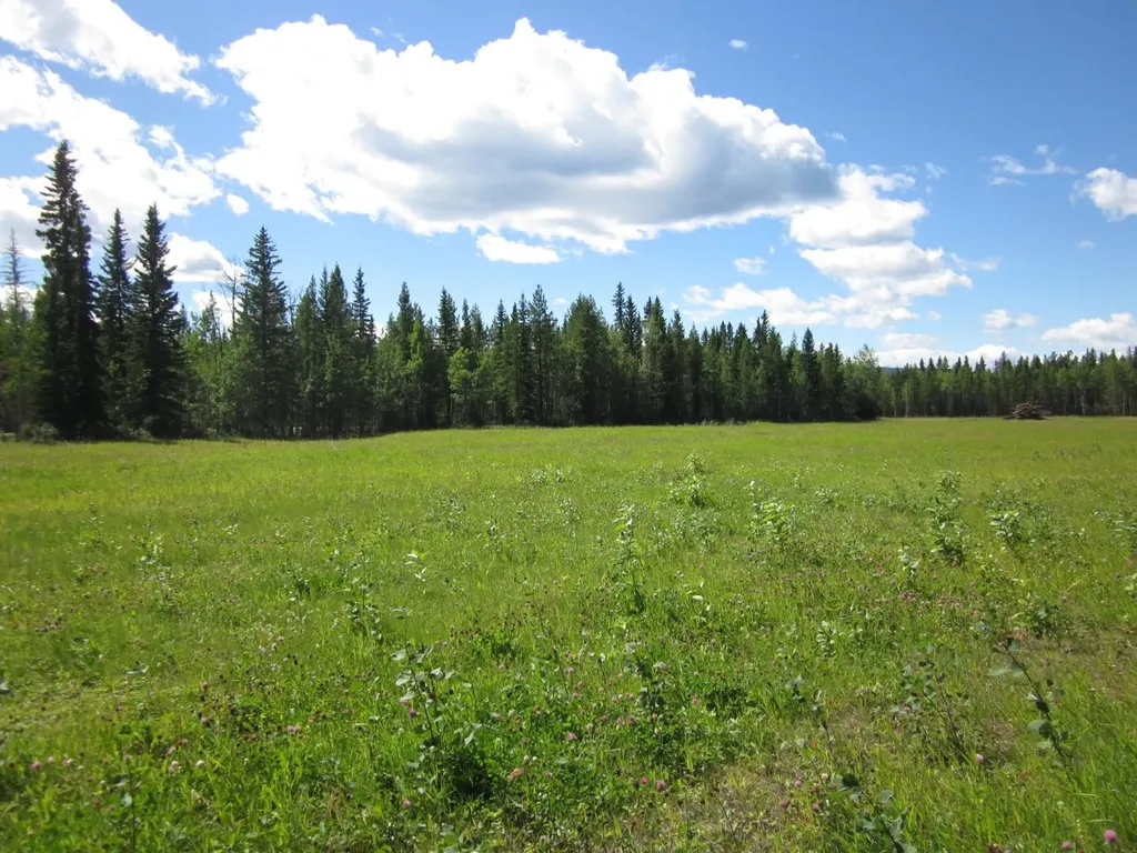 48 Boundary Close Rural Clearwater County AB T0M 0M0