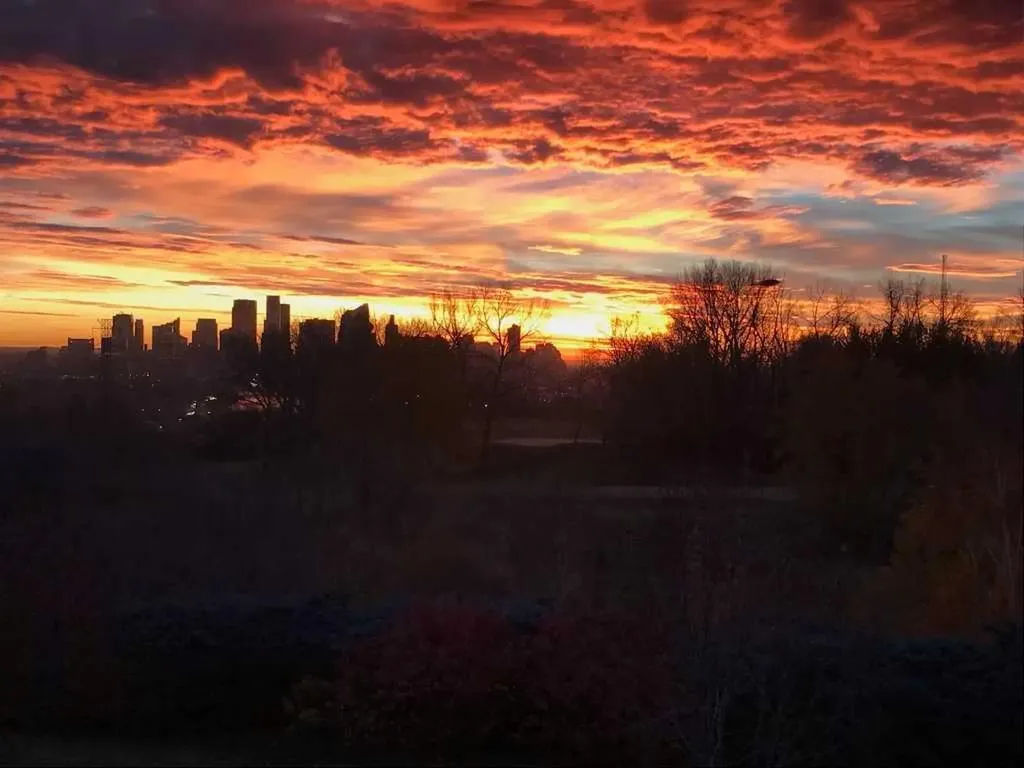 520 Cedar Crescent SW Calgary AB T3C 2Y8