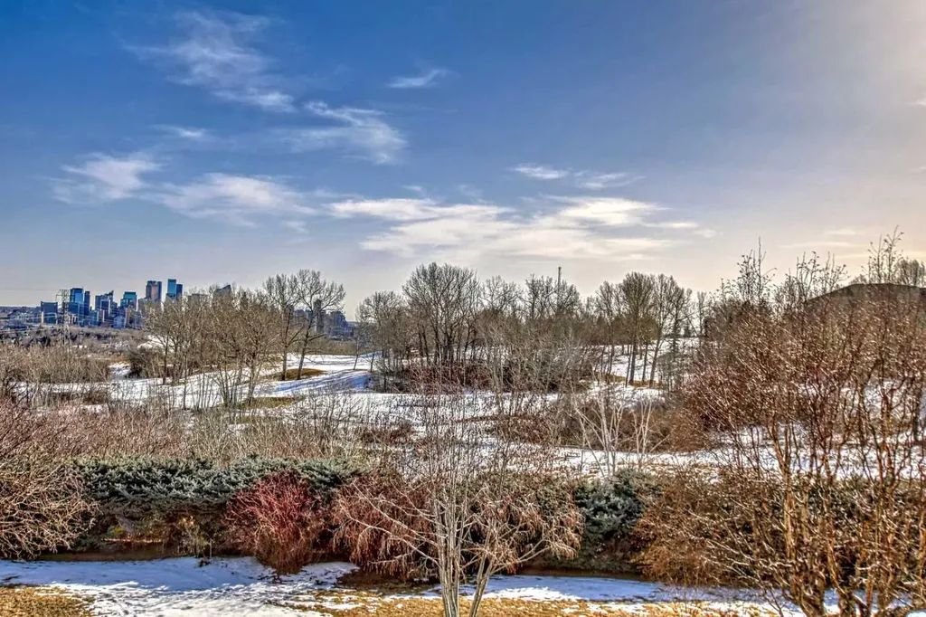 520 Cedar Crescent SW Calgary AB T3C 2Y8