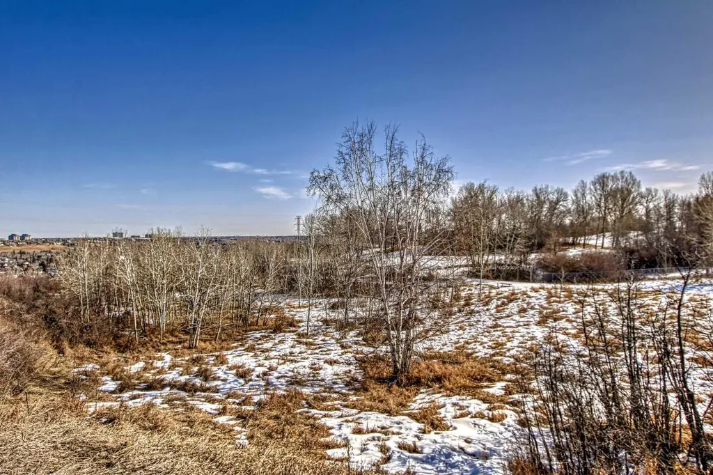 520 Cedar Crescent SW Calgary AB T3C 2Y8
