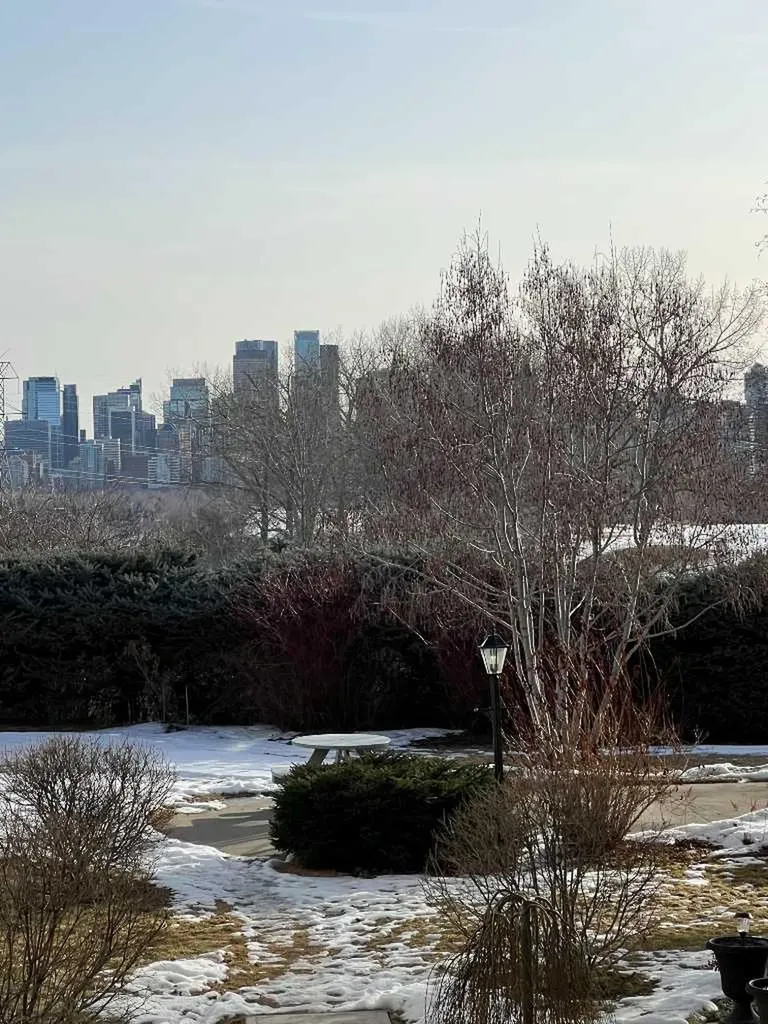 520 Cedar Crescent SW Calgary AB T3C 2Y8