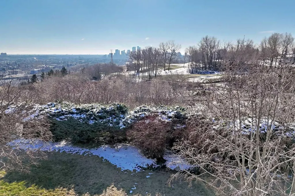520 Cedar Crescent SW Calgary AB T3C 2Y8