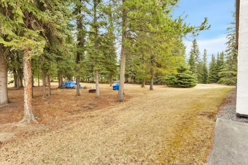 383030 Range Road 7-3 Rural Clearwater County AB T4T 2A2