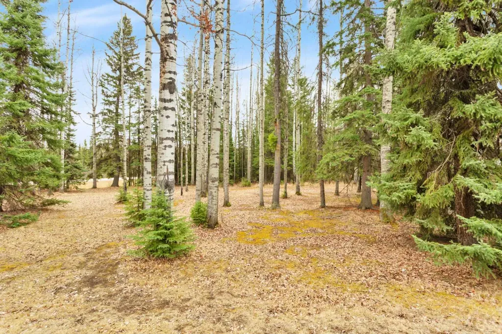 383030 Range Road 7-3 Rural Clearwater County AB T4T 2A2