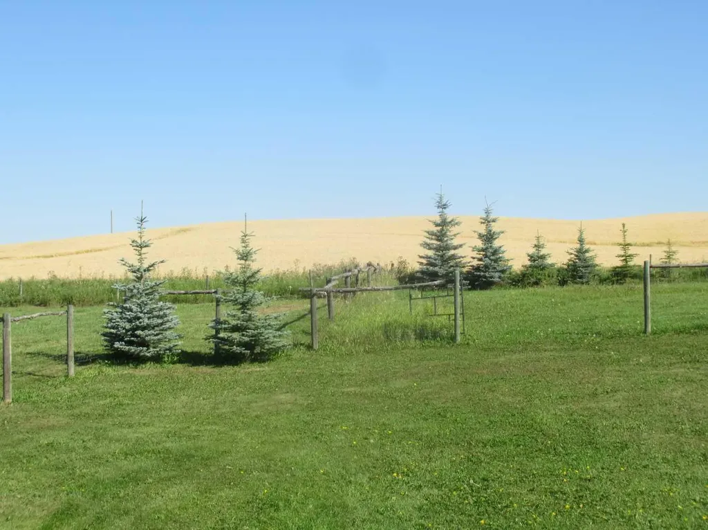 2230 Rainy Creek Road Highway Rural Lacombe County AB T0C 0J0