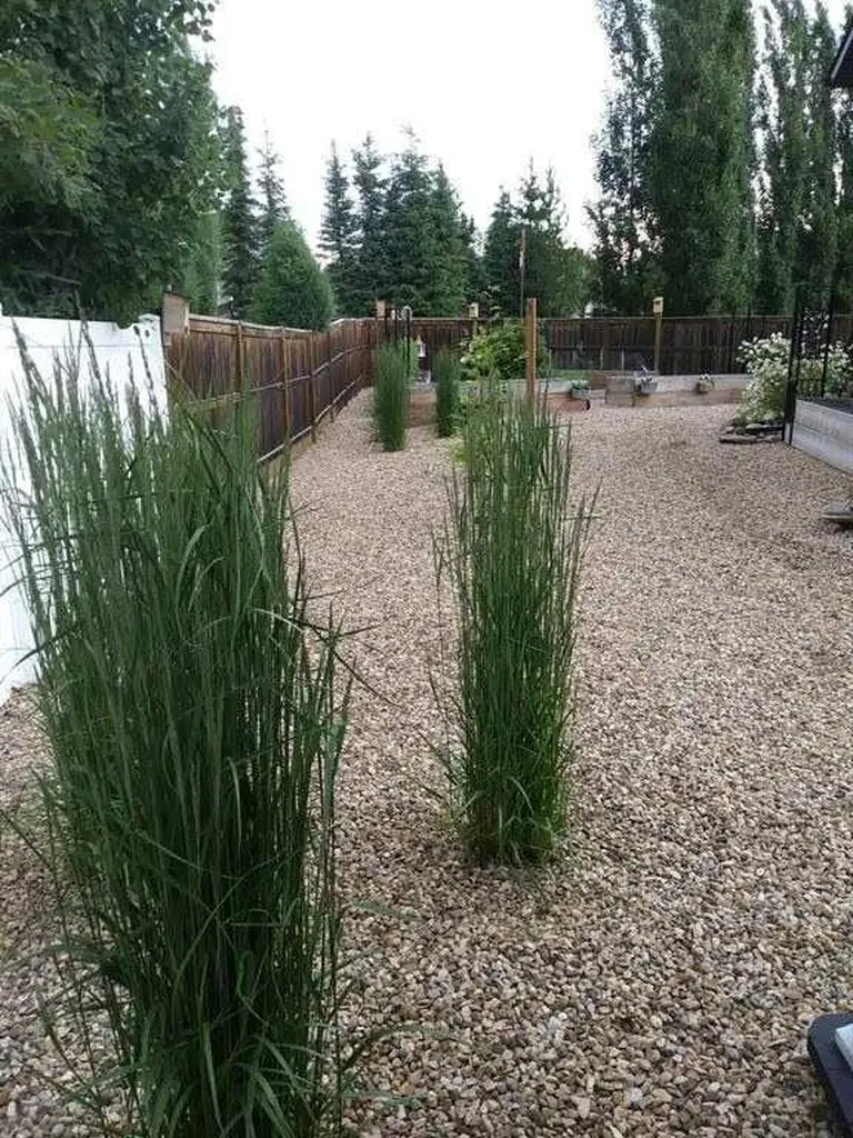 4030 40 Street Close Ponoka AB T4J 0A7