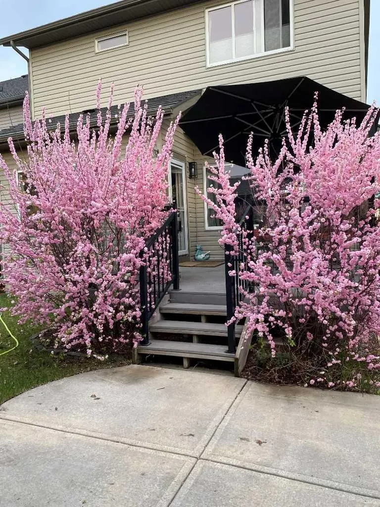 2 Elgin Meadows Green SE Calgary AB T2Z 0L8