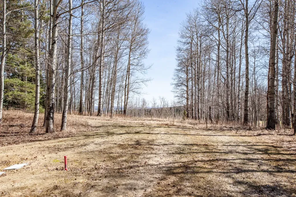 24 Sunrise Way Priddis Greens AB T0L1W3