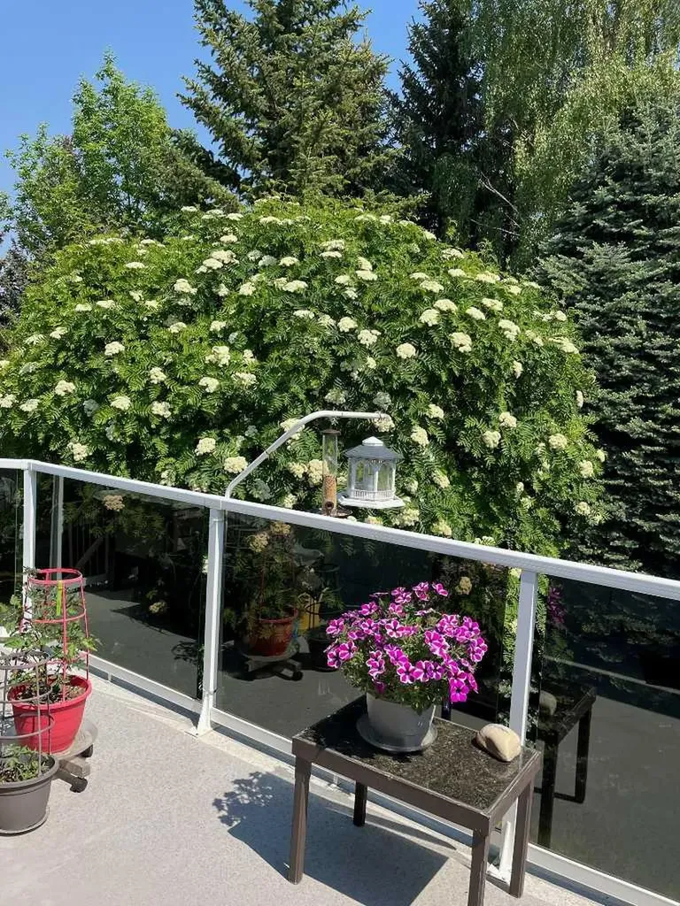 240 Varsity Estates Terrace NW Calgary AB T3B 5J4