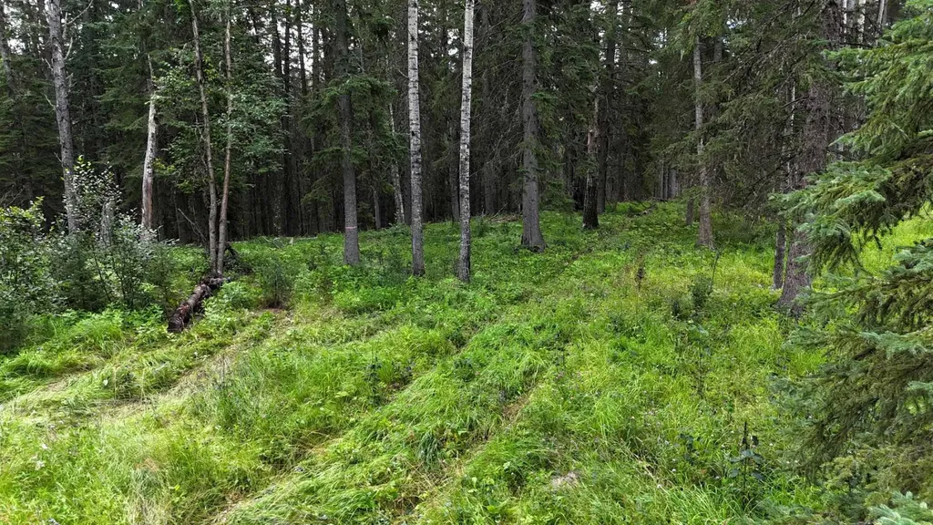 16511 Township Road 532a Rural Yellowhead County AB T7E 3A6