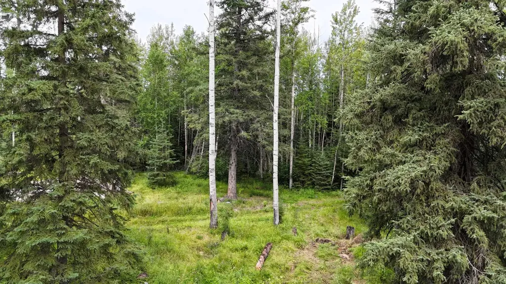 16511 Township Road 532a Rural Yellowhead County AB T7E 3A6