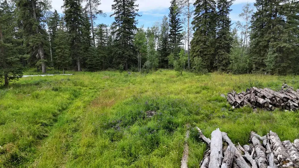 16511 Township Road 532a Rural Yellowhead County AB T7E 3A6