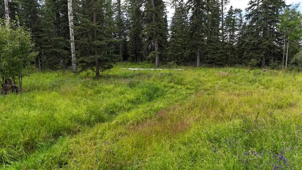 16511 Township Road 532a Rural Yellowhead County AB T7E 3A6