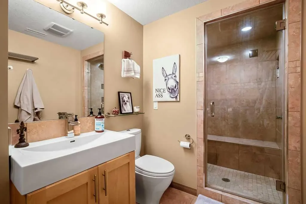 49 Spring Meadows Bay Okotoks AB T1S2G8