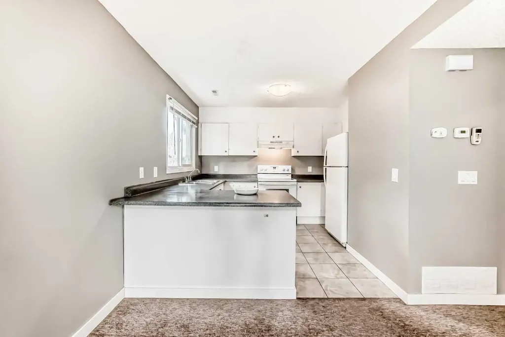 3015 51 Street SW Calgary AB T3E 6N5