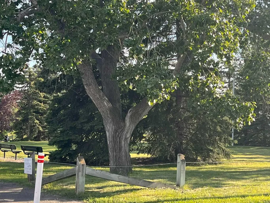 508 78 Avenue SW Calgary AB T2V 0T4