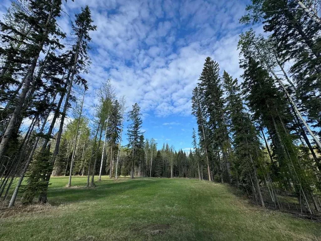 153 Meadow Ponds Drive Rural Clearwater County AB T4T 1A7