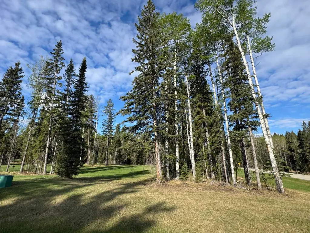153 Meadow Ponds Drive Rural Clearwater County AB T4T 1A7