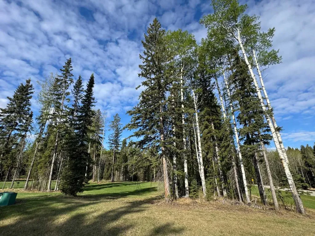 153 Meadow Ponds Drive Rural Clearwater County AB T4T 1A7
