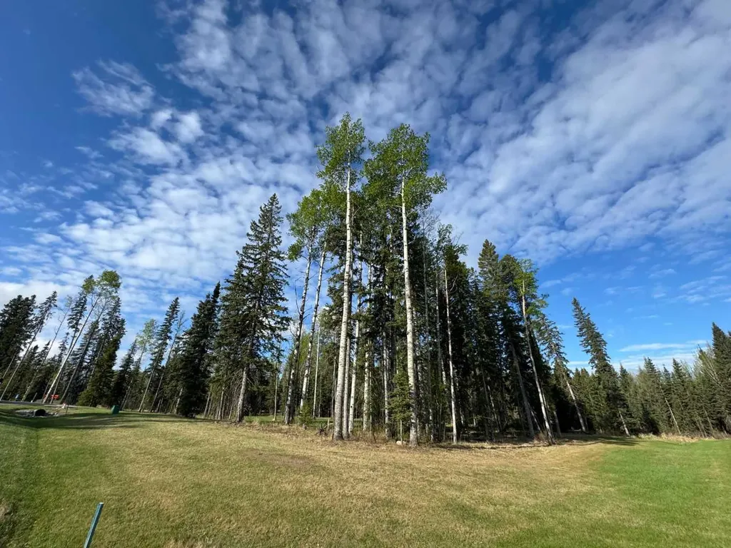 153 Meadow Ponds Drive Rural Clearwater County AB T4T 1A7