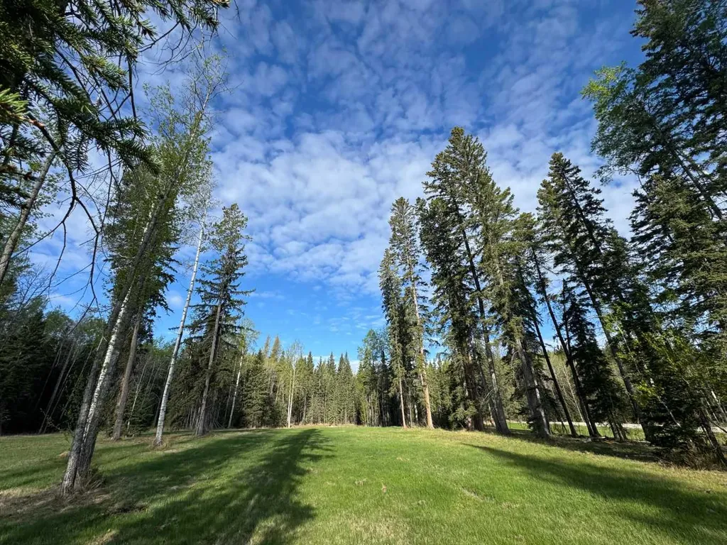 153 Meadow Ponds Drive Rural Clearwater County AB T4T 1A7