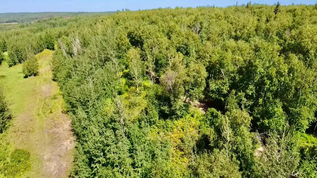 42 & 44 654036 Range Road 222 Rural Athabasca County AB T9S 2A5