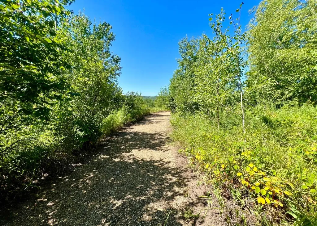42 & 44 654036 Range Road 222 Rural Athabasca County AB T9S 2A5