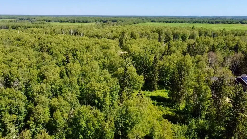 42 & 44 654036 Range Road 222 Rural Athabasca County AB T9S 2A5