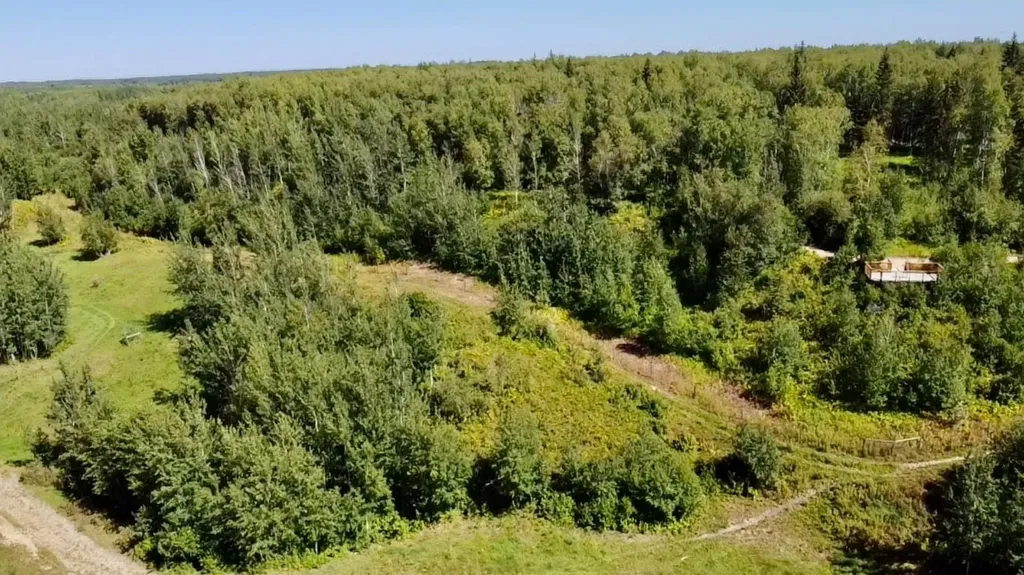 42 & 44 654036 Range Road 222 Rural Athabasca County AB T9S 2A5