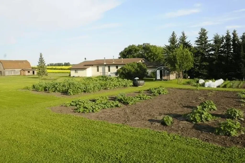 1,085 Acres Two Hills AB T0B 4K0