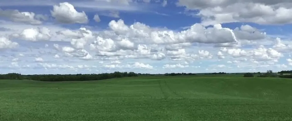 1,085 Acres Two Hills AB T0B 4K0