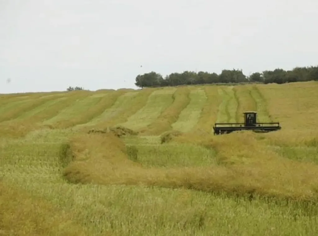 1,085 Acres Two Hills AB T0B 4K0