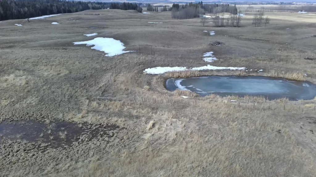 Lot 8 Rr20 Rimbey AB T0C 2J0