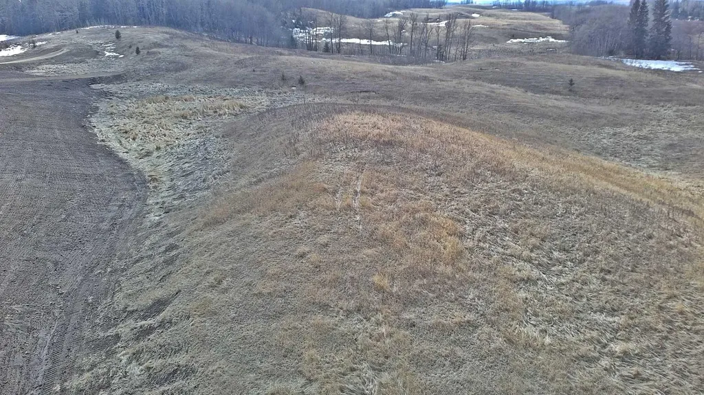 Lot 8 Rr20 Rimbey AB T0C 2J0