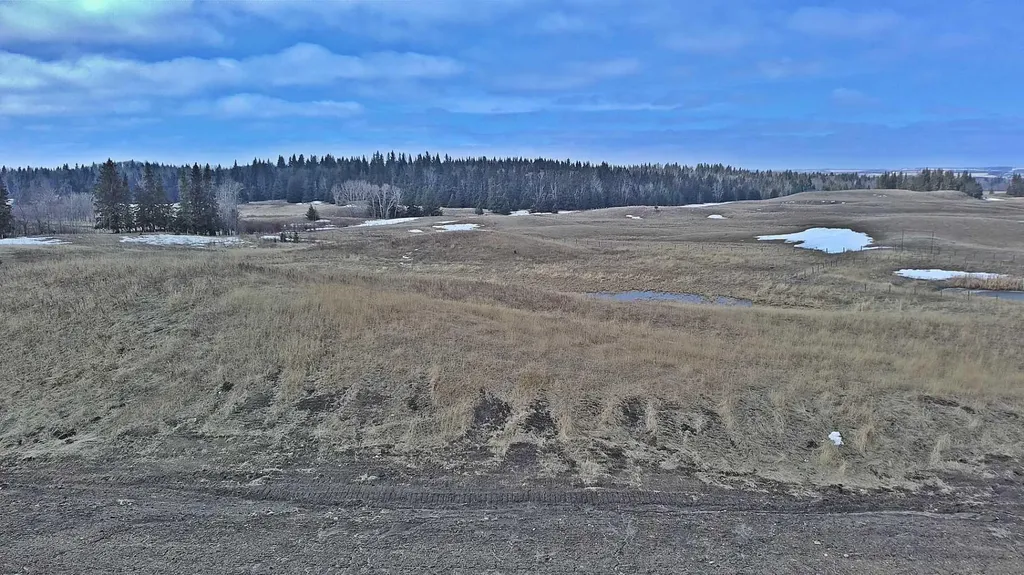 Lot 8 Rr20 Rimbey AB T0C 2J0