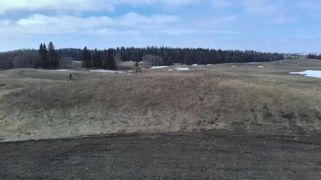 Lot 8 Rr20 Rimbey AB T0C 2J0