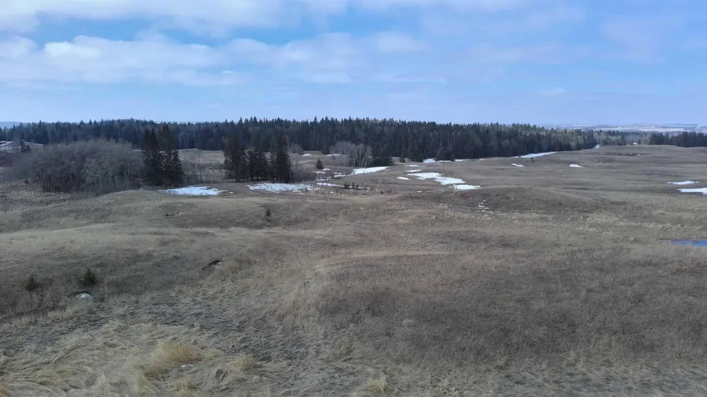 Lot 8 Rr20 Rimbey AB T0C 2J0
