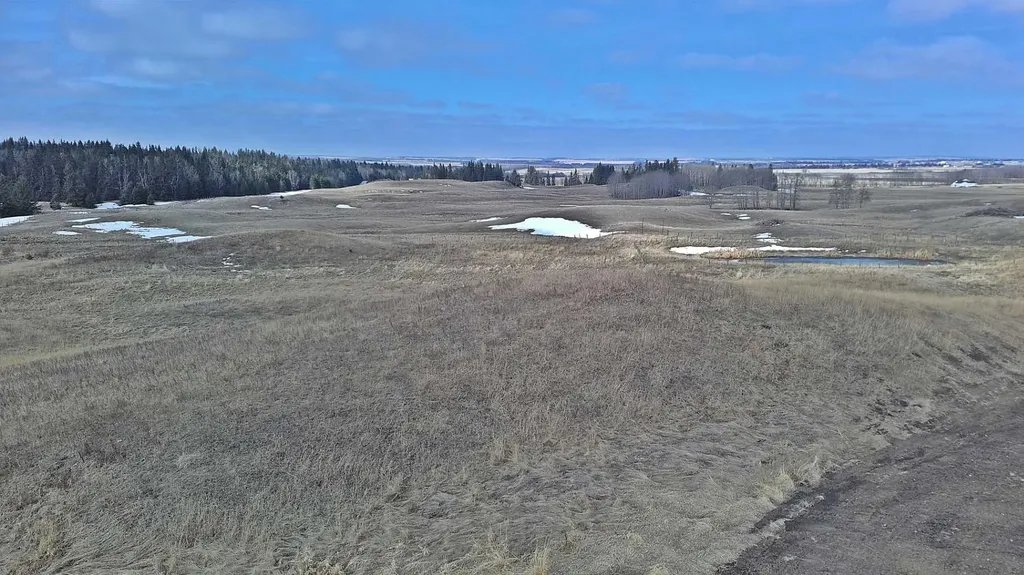 Lot 8 Rr20 Rimbey AB T0C 2J0