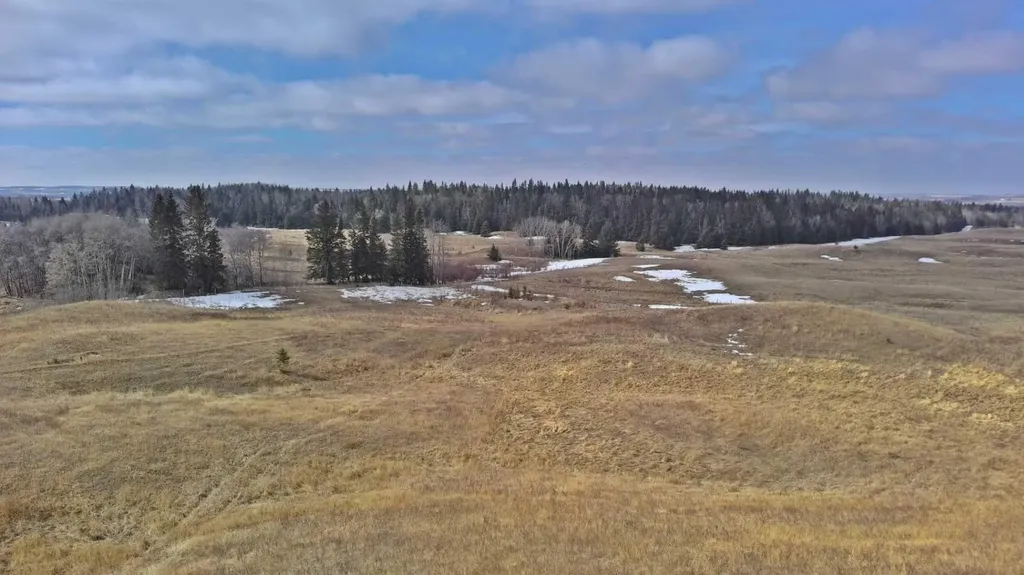 Lot 8 Rr20 Rimbey AB T0C 2J0