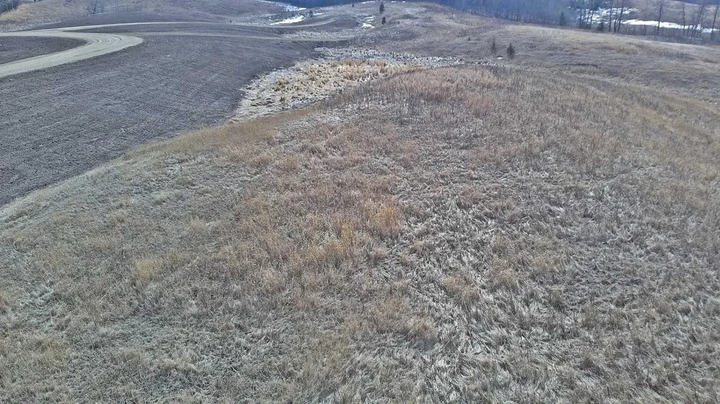 Lot 8 Rr20 Rimbey AB T0C 2J0