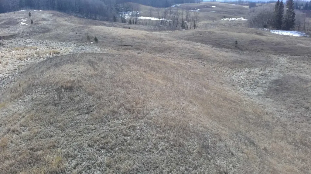 Lot 8 Rr20 Rimbey AB T0C 2J0